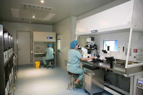 杨幂同款眼镜解析：价格、品牌与设计亮点