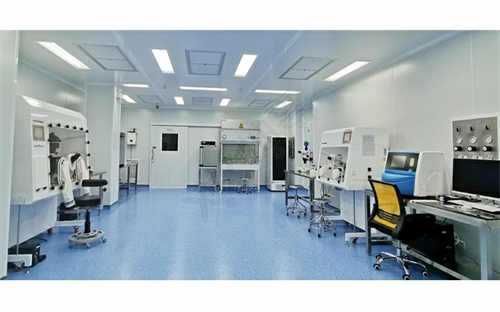 揭秘：为何高龄夫妇试管助孕后选择离婚？